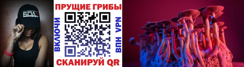 блэк спрут ссылки  Межгорье  Галлюциногенные грибы мухоморы 